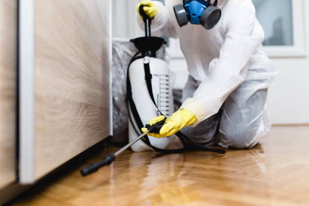 Best Affordable Pest Control Services  in Monon, IN