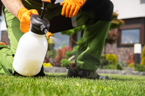 Best Local Pest Control Services  in Monon, IN
