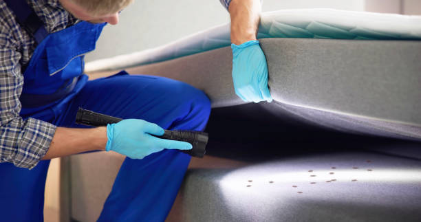 Best Ant Control Services  in Monon, IN