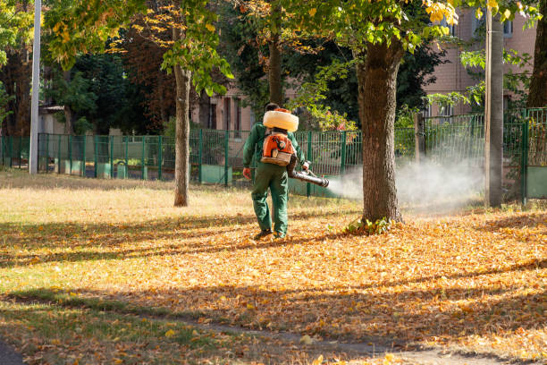 Best Emergency Pest Control  in Monon, IN