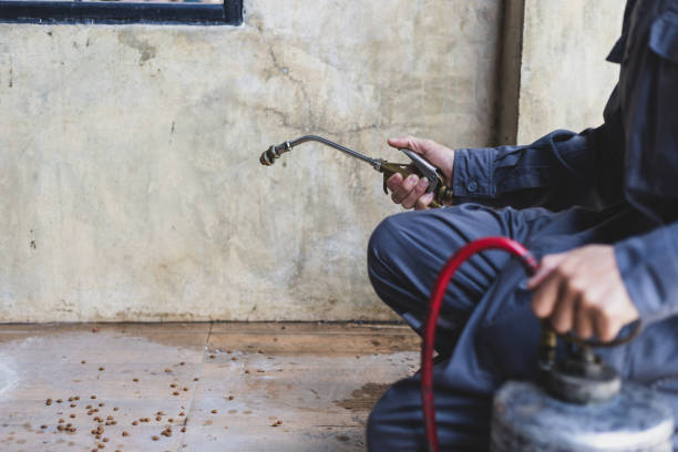 Best Wasp Removal Services  in Monon, IN